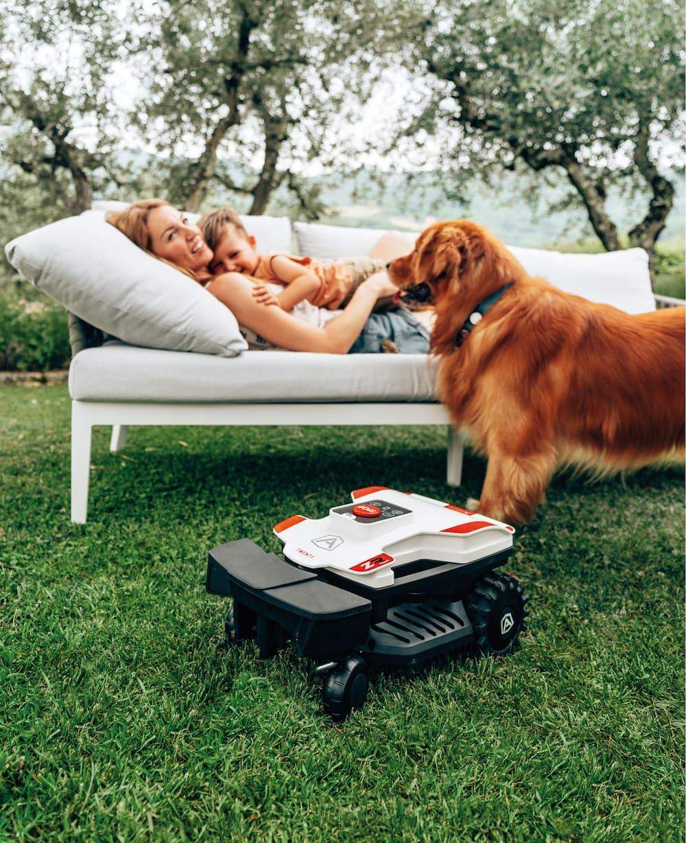 dystrybutor robotów koszących